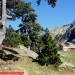 Refuge Wallon