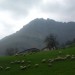 Pic Mail Arrouy