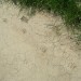 Bardenas Reales