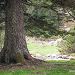 Propice � la sieste
