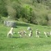 Lac d'Estaing