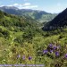 Vallon de Labr�n�re