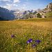 Plateau de Saugu�