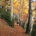 Automne en vall�e de Te�a