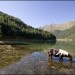 Lac d'Estaing