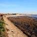 Balade le long du Bassin d'Arcachon