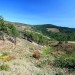 Superbe vue depuis le col du Sapet dans les Cevennes