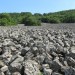 Coul�e de lave de Roquelaure au dessus d'Espalion