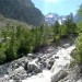 Descente du Glacier Blanc, retour au Pr� de mme Carle