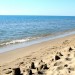 Plage � Portiragnes