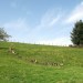 Plateau de Viad�ne, qui commence � ressembler � celui de l'Aubrac