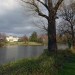Balade dans le parc de Bourran 8