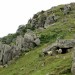 Brebis et vautours: lors de la randonn�e au Mondarrain