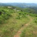 Chemin qui m�ne au Mondarrain dans le Pays Basque