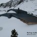 Refuge de Bassi�s sous la neige