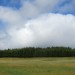 For�t face � Aubrac, sur le Plateau de l'Aubrac