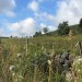 Randonn�e � la Cascade du D�roc, sur le Plateau de l'Aubrac