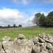 Sur le chemin en direction de la Cascade du D�roc. Aubrac et ses pierres typiques du plateau 