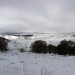 Paysage d'Aubrac enneig� et sublimement froid