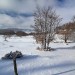 Plateau de l'Aubrac sous la neige