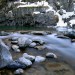 Cours d'eau � Coumely dans les Pyr�n�es