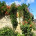 Village tr�s fleuri de Sainte Eulalie d'Olt