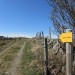 Sentier de l'Aubrac: chemin de randonn�e c�t� Loz�re, sur le Plateau de l'Aubrac