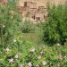 Trekking au Maroc : Vall�e des Roses