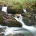 Cours d'eau dans les Hautes-Pyr�n�es