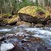 Joli cours d'eau dans les Pyr�n�es