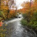 L'automne au Qu�bec