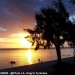LA REUNION