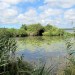 L'�tang de L�on, d�but du courant d'Huchet