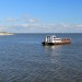 Balade le long du bassin d'Arcachon