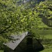 Vall�e d'Estaing