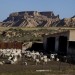 Bardenas reales