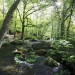 For�t de Huelgoat en Bretagne