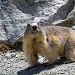 Mont�e au lac des B�raudes