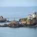 Coquillages � marr�e basse sur la plage de Gu�thary