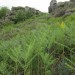 Croix au village de Bez B�d�ne
