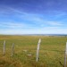 L'Aubrac : vaste terre calme, sublime et d�sert