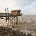 Carrelet sur l'estuaire de la Gironde