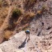 Le Signal de Mailhebiau, le point culminant du plateau de l'Aubrac. Loz�re
