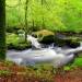 Balade dans la for�t de Huelgoat en Bretagne