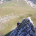B�b� marmotte dans les Pyr�n�es
