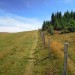 Randonn�e sur Aubrac, au Signal de Mailhebiau