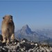 La vue sur Ossau ne laisse personne indiff�rent