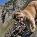 En descendant du col d'Oncet