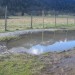reflet