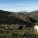 Col d'Iparla